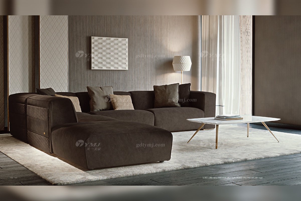 時(shí)尚輕奢會(huì)所家具意大利100%純進(jìn)口別墅家具品牌客廳高彈海棉布藝深咖色組合