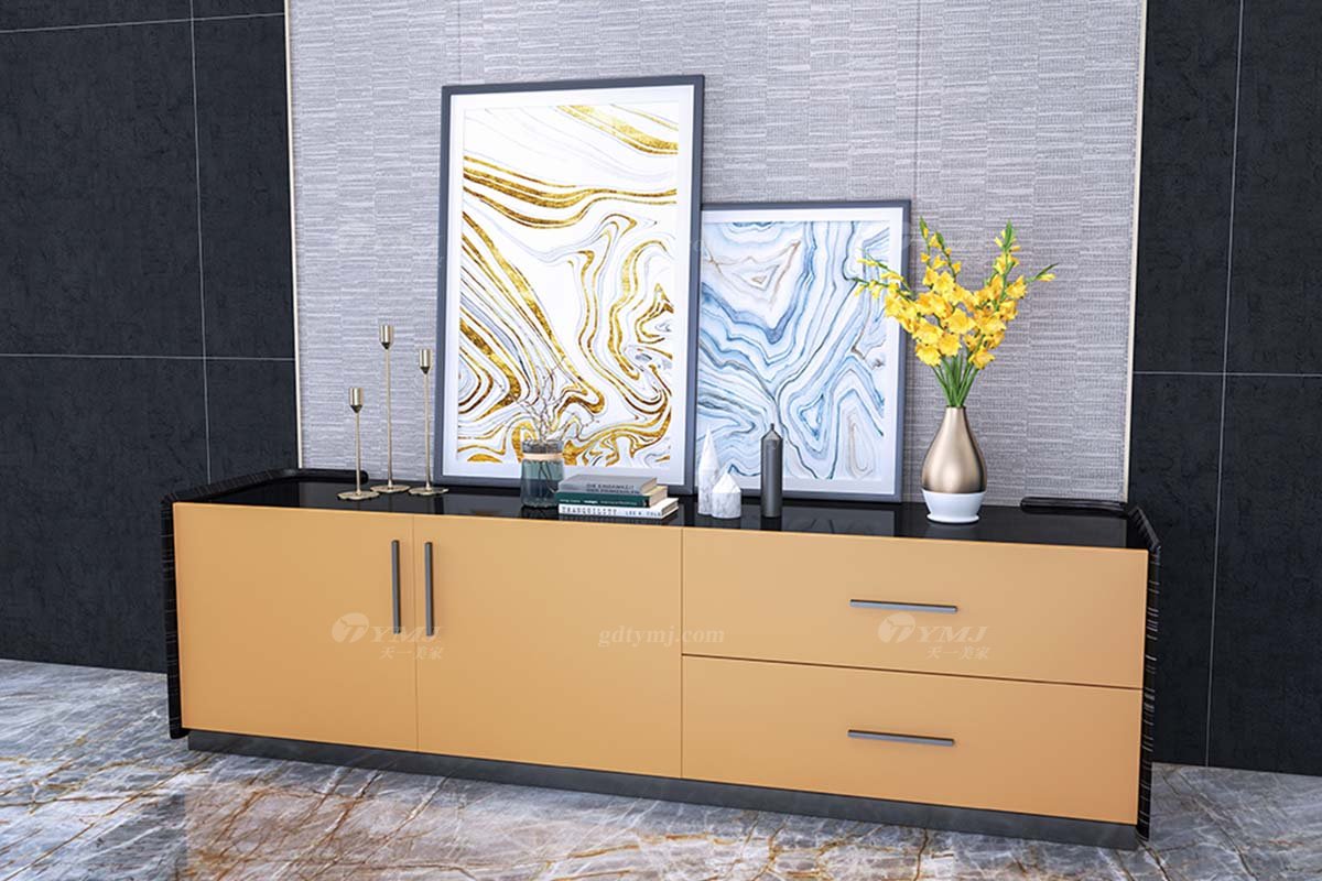 時尚別墅家具會所家具樣板間家具輕奢后現代客廳生態皮黑檀地柜電視柜