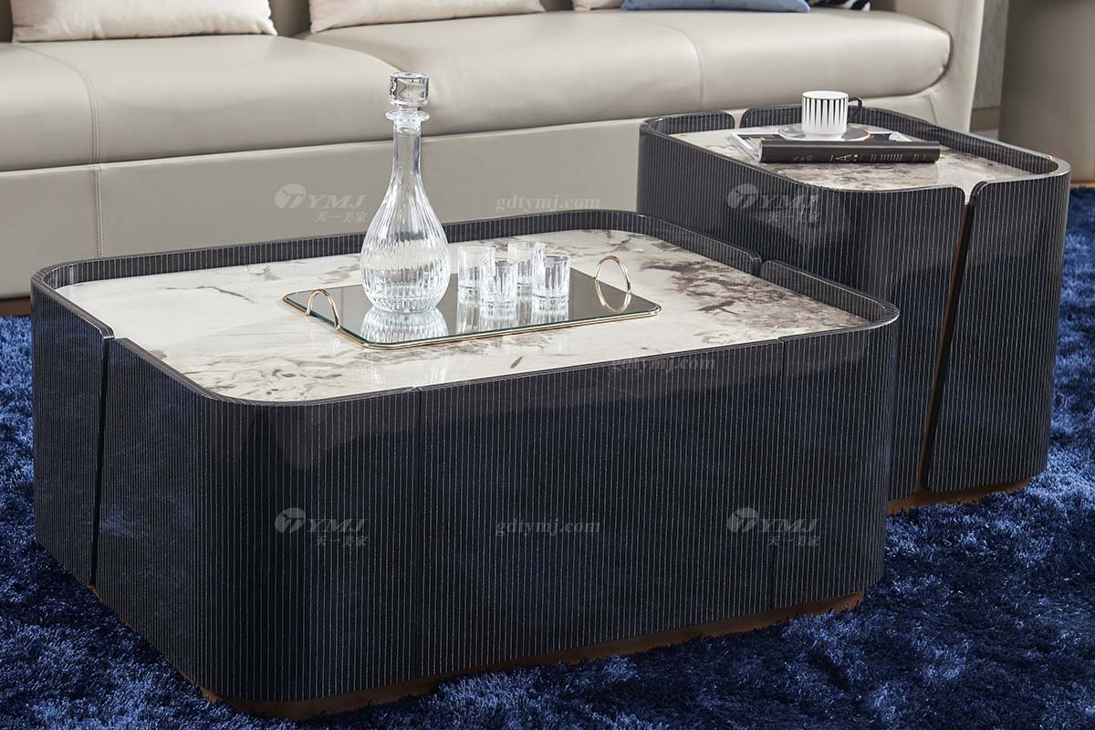 后現代輕奢風格家具高端會所別墅品牌家具時尚客廳黑檀長幾茶幾