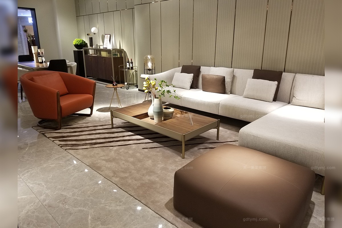 天一美家輕奢現代簡約時尚客廳沙發組合